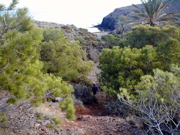 parquenatural13.jpg